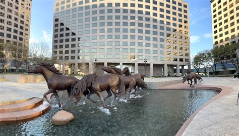 TOP 10 BEST Things to Do near Las Colinas, Irving, TX .